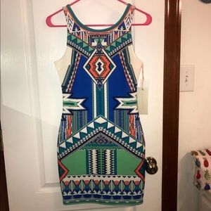 BodyCon Print Dress